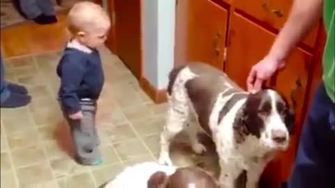 Cute baby and dog fun