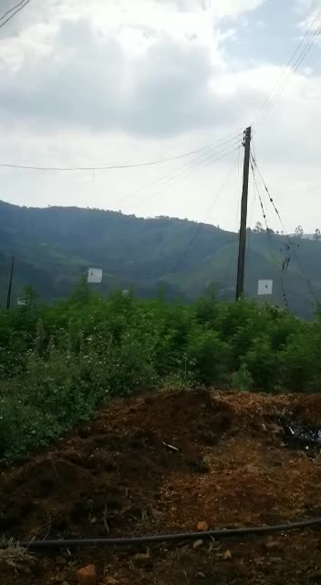 Campesinos de Cauca denunciaron que están atrapados en medio de combates entre Ejército y Eln