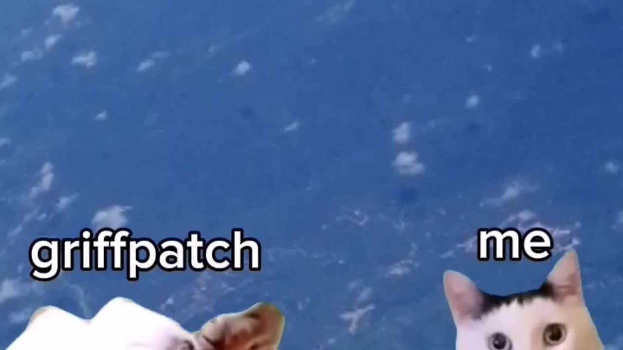 Memes that i found from internet 6 #shack283post #memes #meme #funny