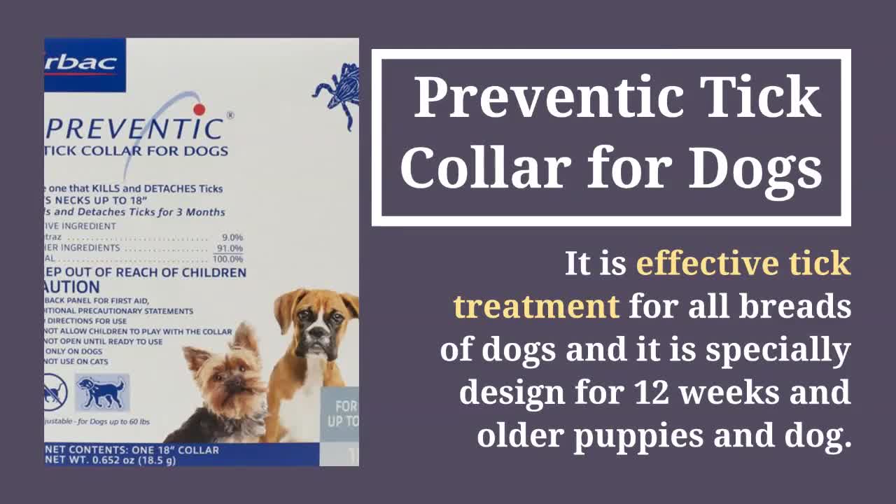 Top 5 Flea & Tick Collar for Dogs & Cats