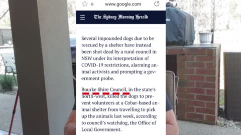 Wenn Dich das Video nicht wütend macht ... Schlimm ‼️