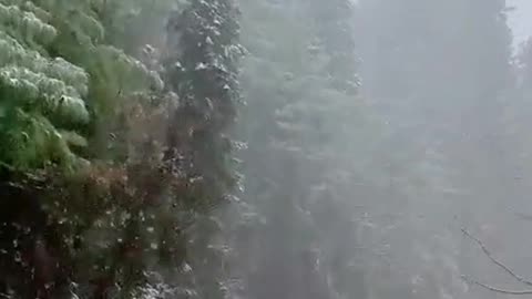 Murree Snowfall Last Year Video