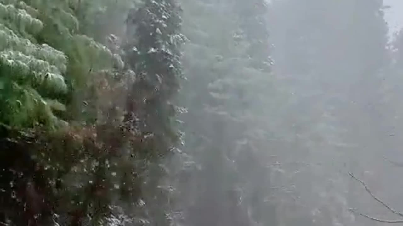 Murree Snowfall Last Year Video