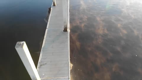Fishing for BIG Bass in HIDDEN Pond!