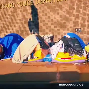 Illinois Leadership has vowed to BLOCK Trump on mass deportations