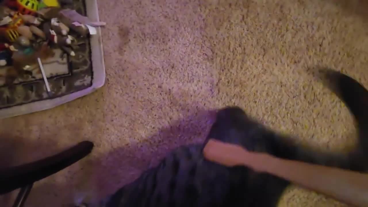 Lazy Way To Pet A Cat part.1