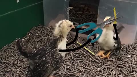 Paper Scissors Epic Battle