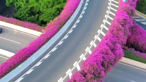 Beautiful roads