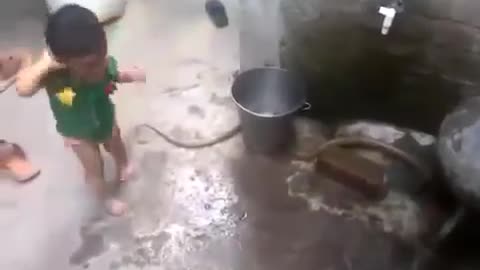 Boy And Snake Funny Video