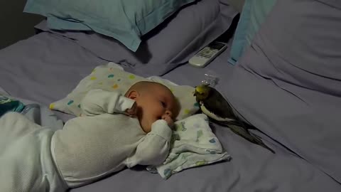 Bird and baby