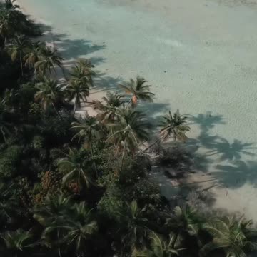 Untouched Beauty: Exploring Earth's Natural Artistry