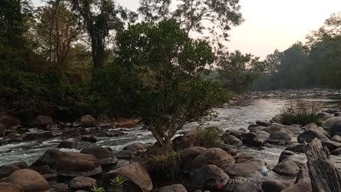 Picnic palash in Assam🌄❤️❤️