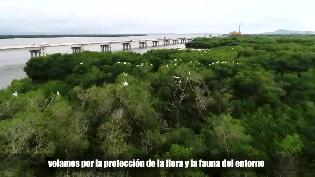 Viaducto Gran Manglar será inaugurado este 28 de julio