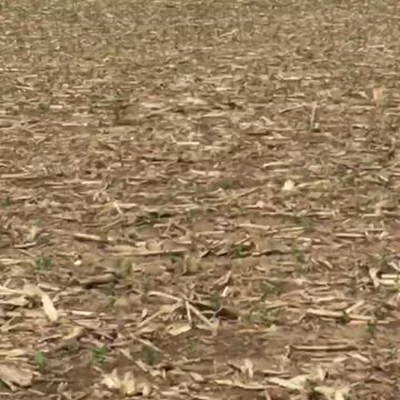 Mini tornado it was cool