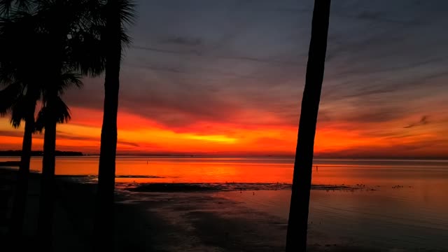 Morning view