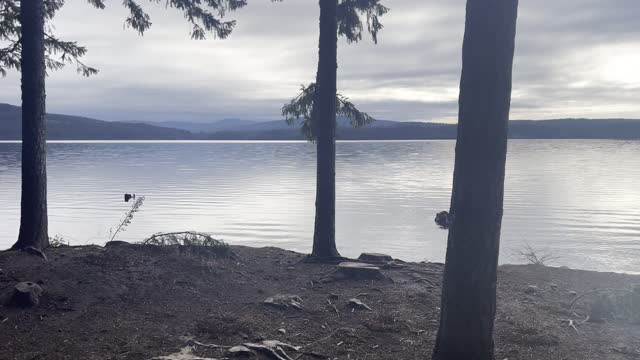 Timothy Lake Just After Sunrise – Mount Hood National Forest – Oregon – 4K