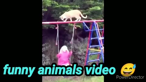 🐕New Funny Animals Videos Funniest Cats and Dog🐕🤣s