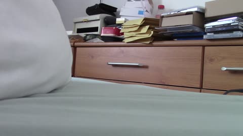 Abri Housing 17.10.2023