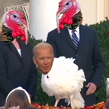 Joe Turkey Biden 🦃