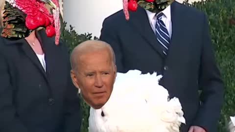 Joe Turkey Biden 🦃