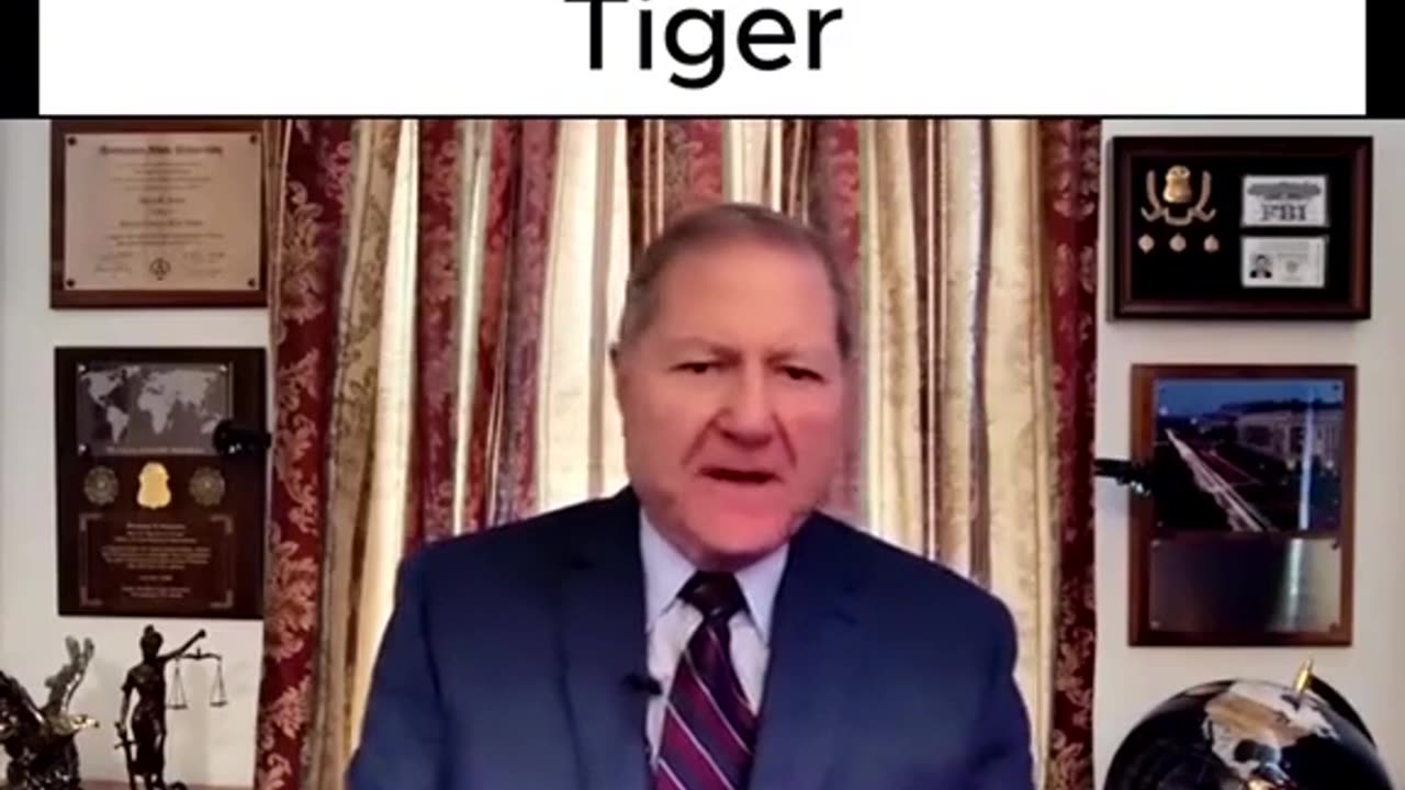 FORMER ASSISTANT FBI DIRECTOR INDICTMENTS OF TRUMP =AWAKENED TIGER