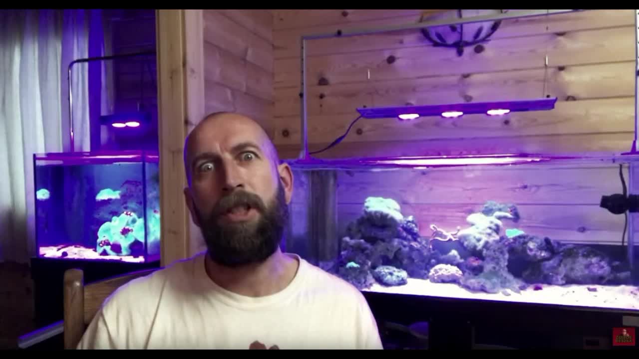 Ne csinálj akváriumot