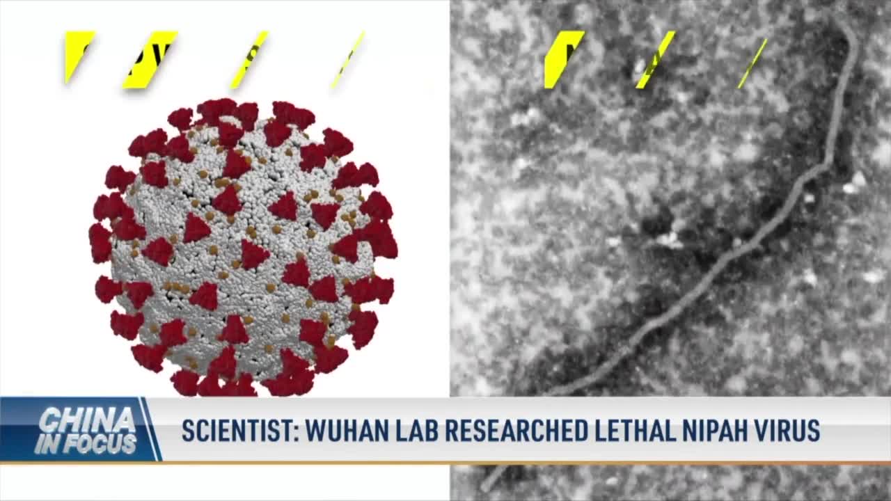 Wuhan researched a virus deadlier than the CCP virus, which causes COVID-19.