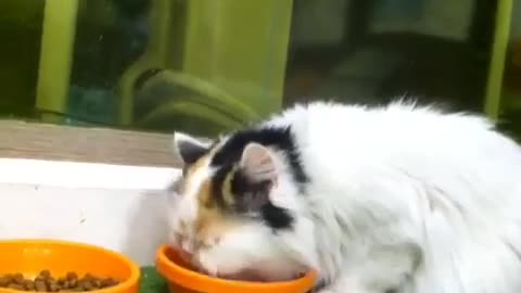 Eating!!