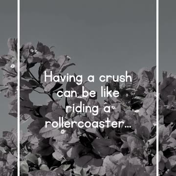 Having a crush can be like riding a rollercoaster...