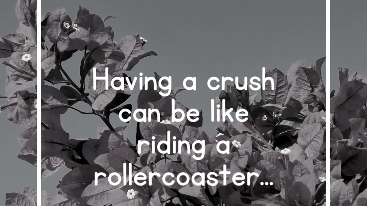 Having a crush can be like riding a rollercoaster...