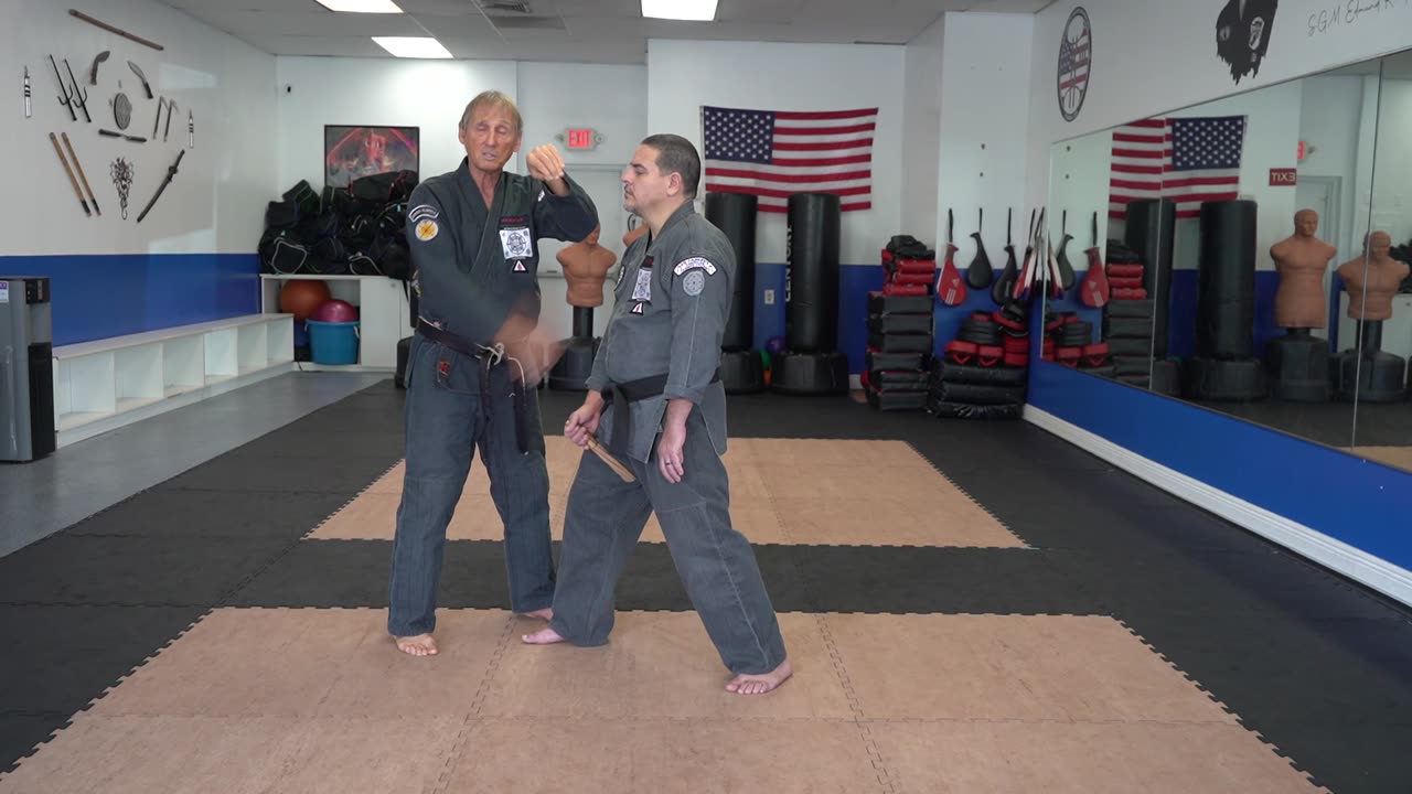 Correcting common errors executing the American Kenpo technique Raining Lance