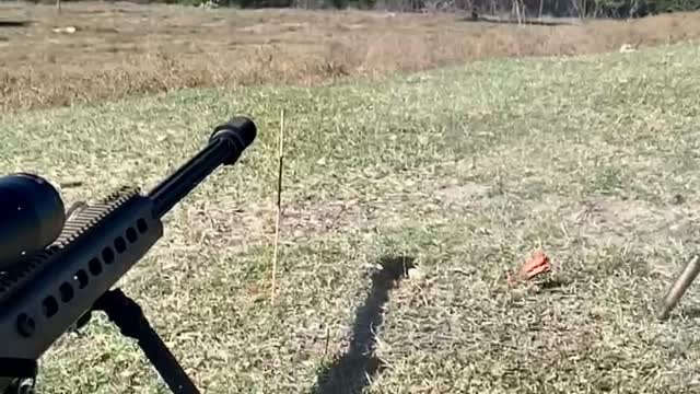 50 Bmg vs Weenie