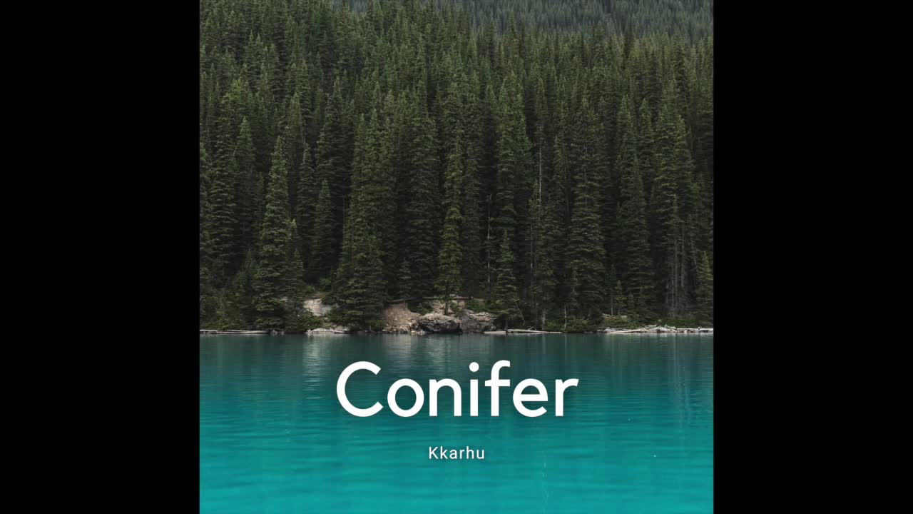 Confier - KKarhu