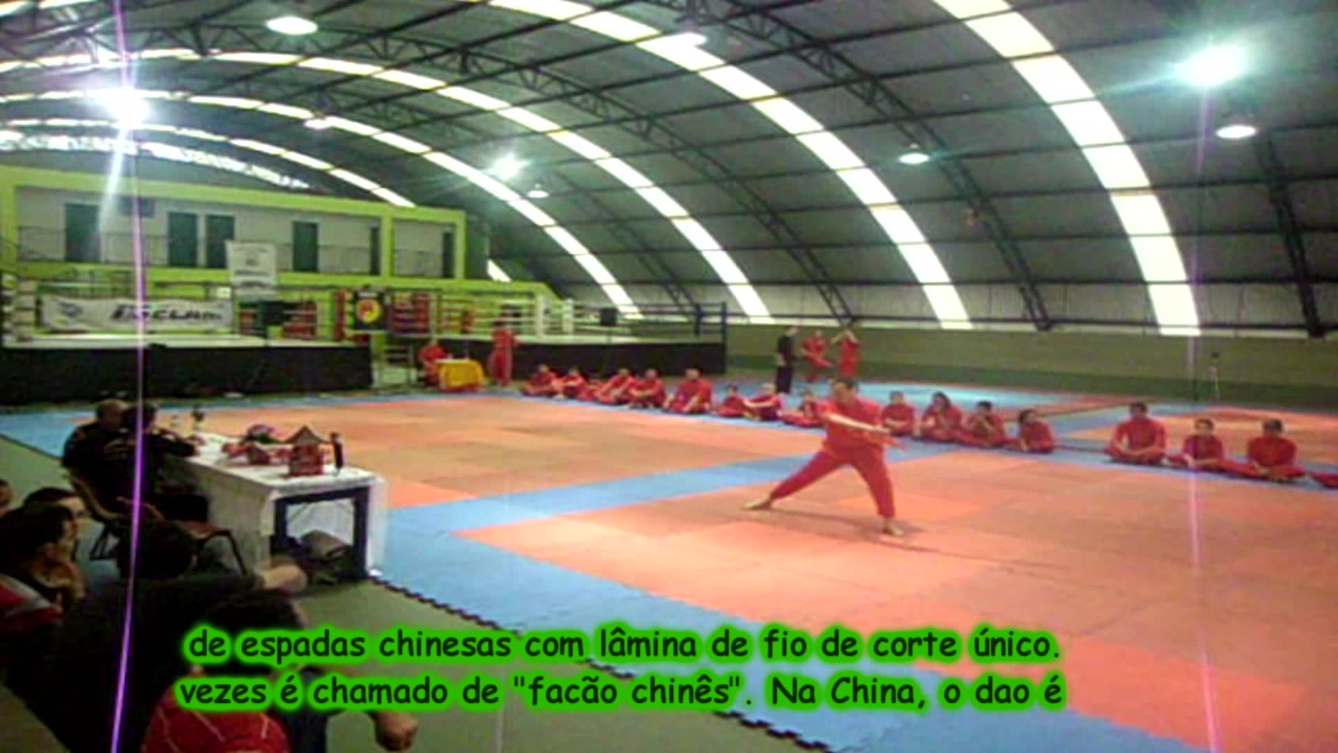 Kung fu and music 2 (Machete exam) (No One Like You) (Scorpions)