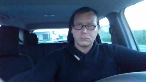 LE LUCERTOLE IN SCATOLA ‼️