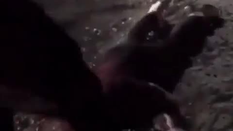 Dude Gets Wrecked For Hitting On Underage Girl