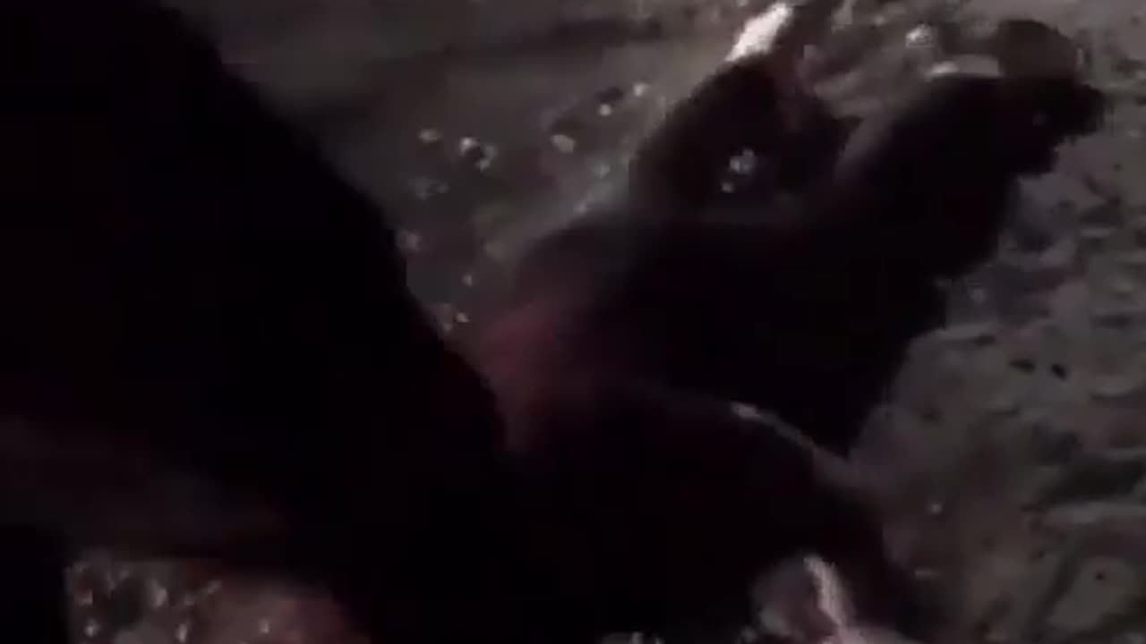 Dude Gets Wrecked For Hitting On Underage Girl