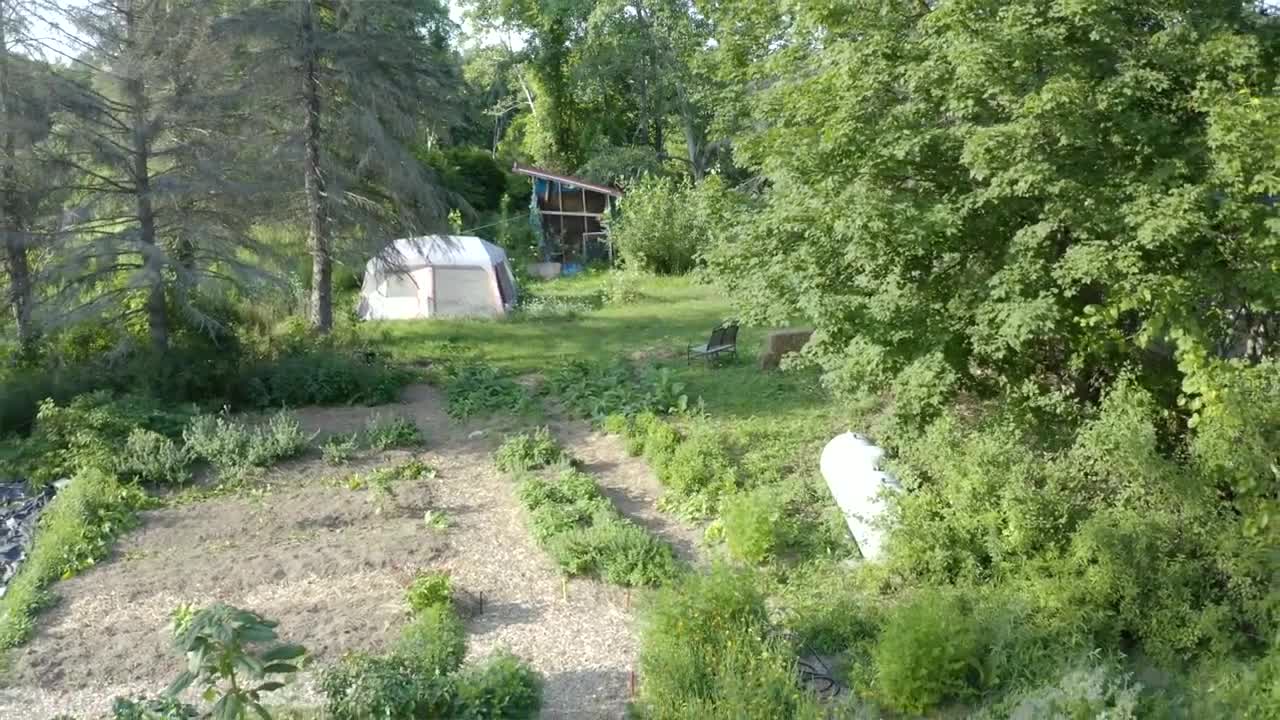 The BIPOC Community Garden- Connecting Food and People through Gardening