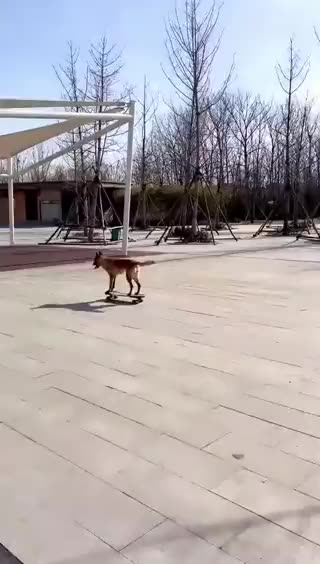 Happiness is a choice