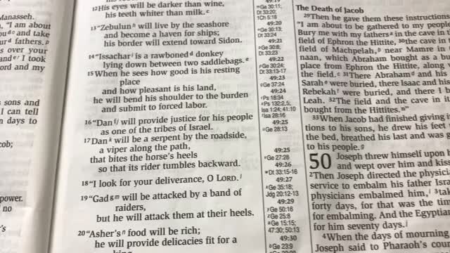 The Bible reading of the day:Exodus 2:11-25