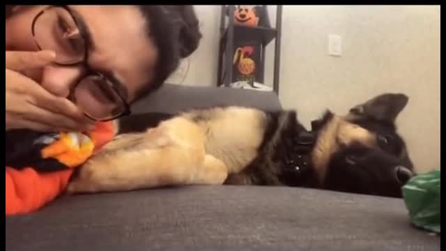 He didn't seem to like me touching him. He hit me with his dog paw