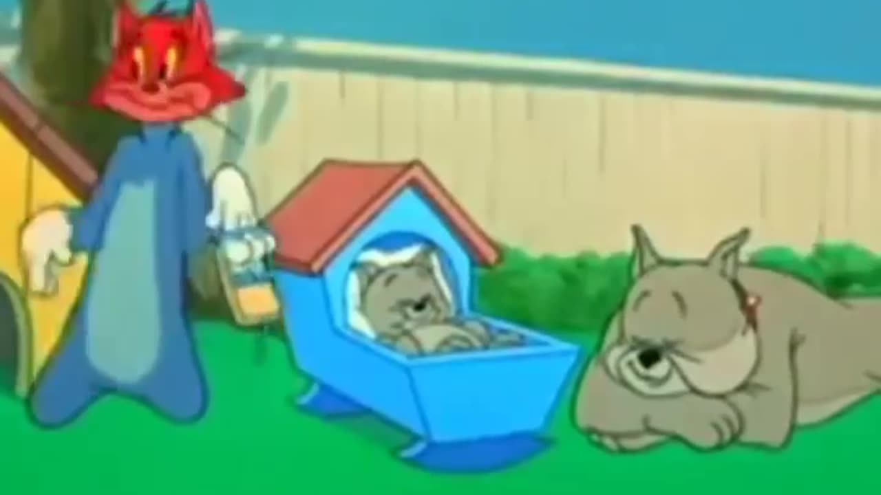 Full funny video Tom and jerry fight with dog