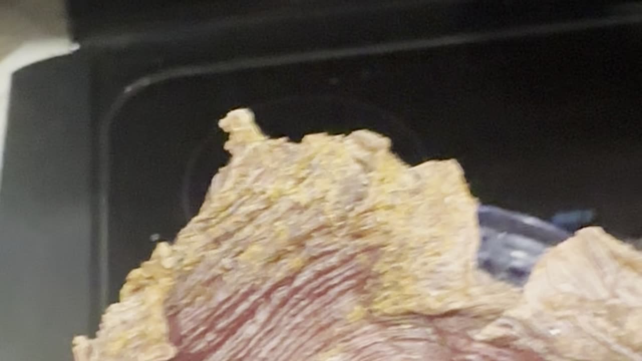 Deer jerky looks like a finger print