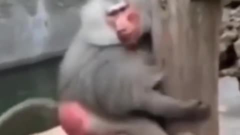 Engry money