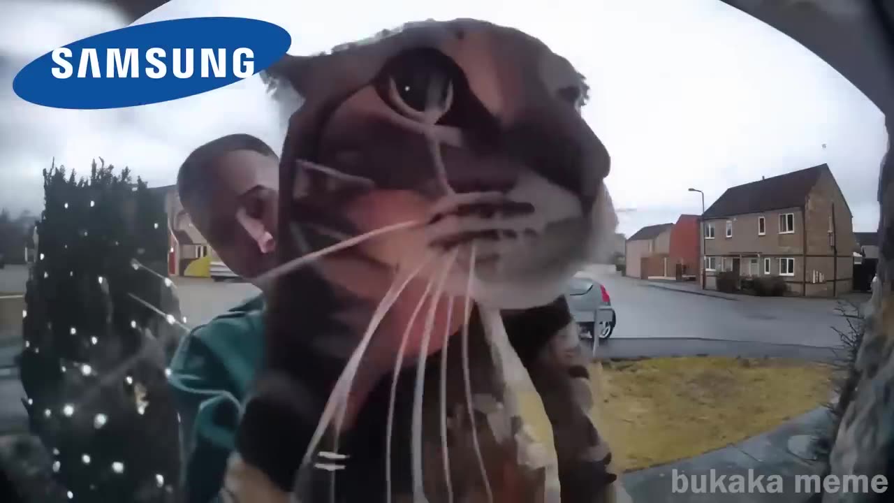 Cat Meows into door camera meme but famous phone ringtones