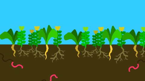 what is regenerative agriculture