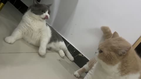I really want to send them to school