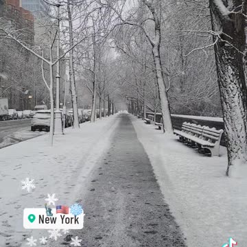 New York City Manhattan America USA Central Park Harlem