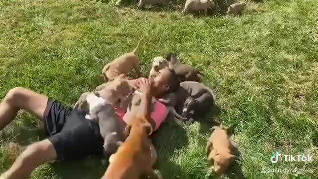 Pure Puppy Love ♡