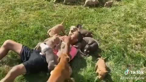 Pure Puppy Love ♡